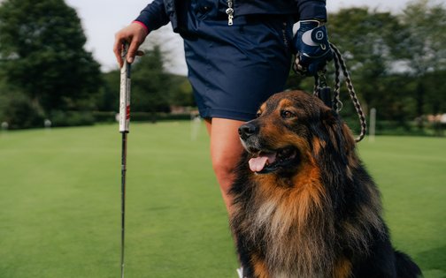 Hund beobachtet Golferin beim Abschlag auf dem Golfplatz 3