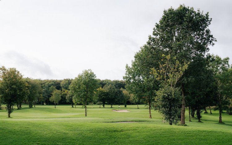 Blick über den Golfparcours des Golfclubs Wiesensee