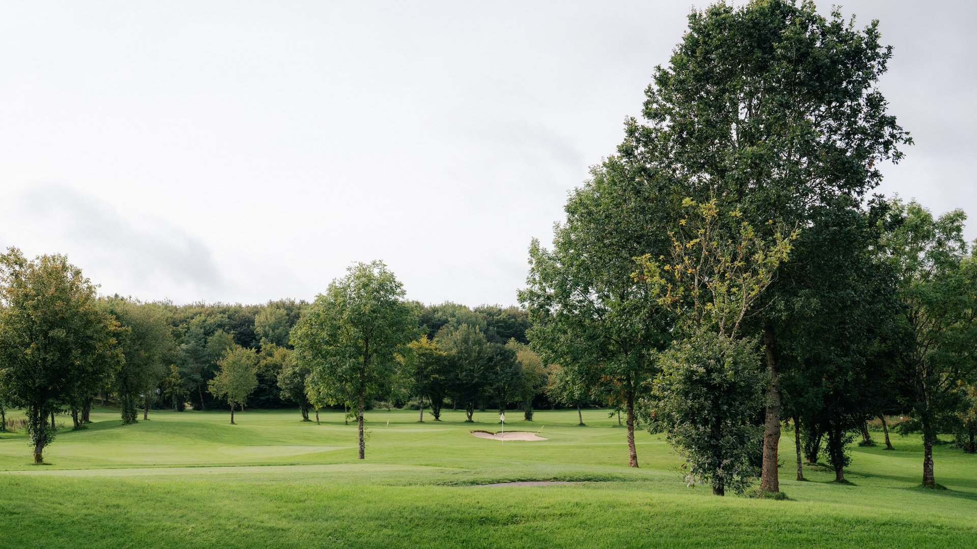 Weitblick über den Golfplatz im Westerwald mit Bäumen und Fairway