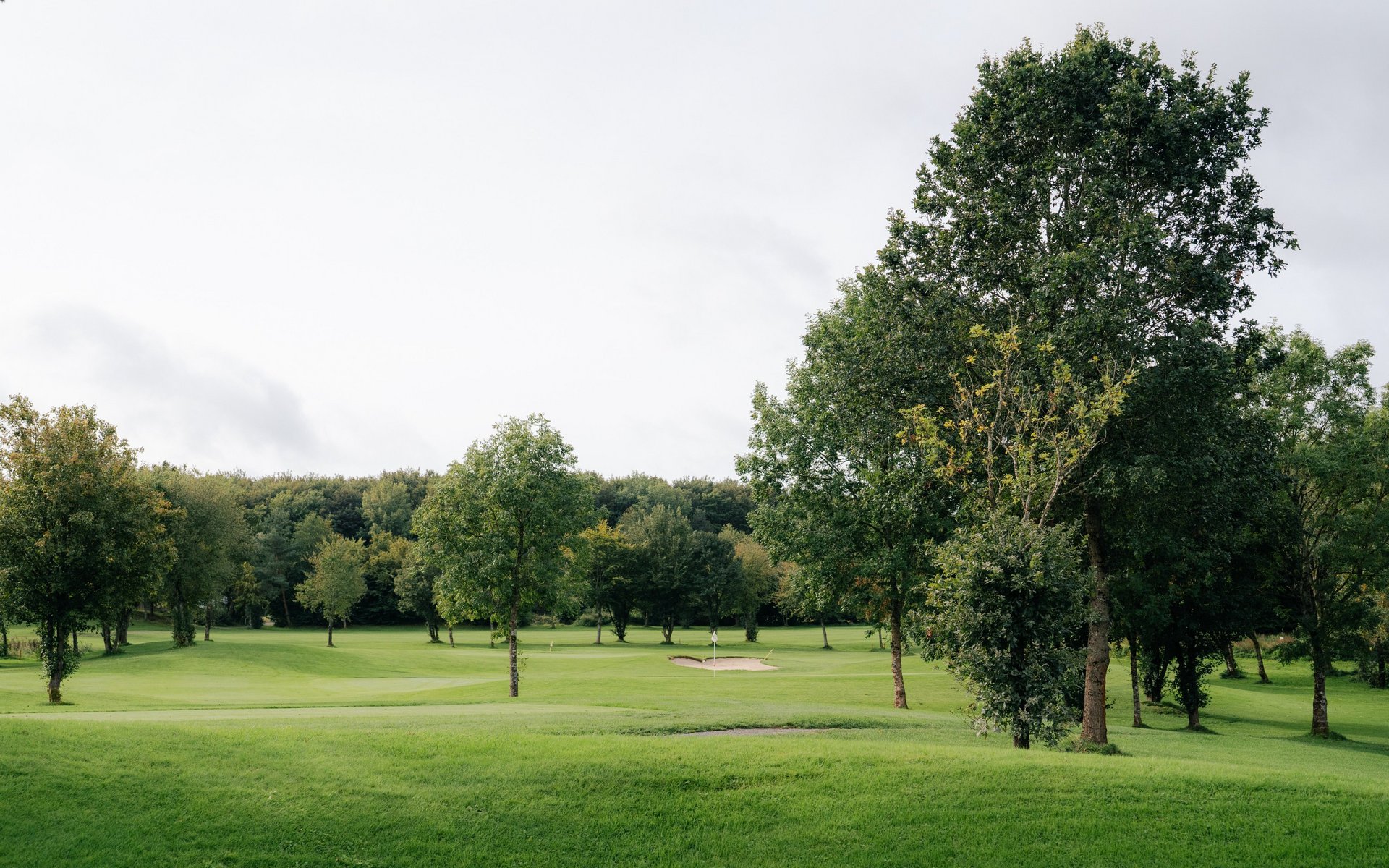 Weitblick über den Golfplatz im Westerwald mit Bäumen und Fairway