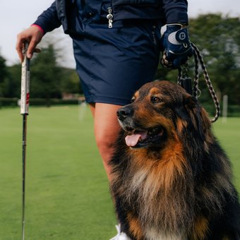 Golfer mit Hund beim Spaziergang über den Golfplatz Wiesensee